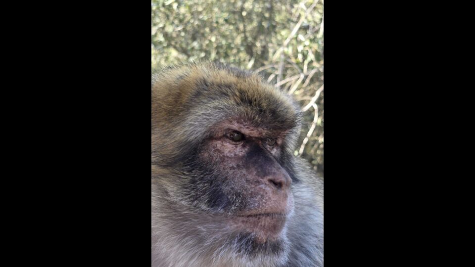 5499a074 5463 4dfb a324 b3b5c9eb3efd